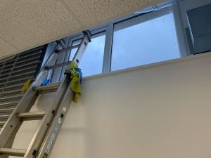 window and ladder
