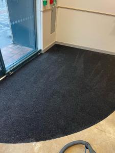 Professional carpet cleaning services