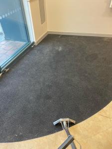 Professional carpet cleaning services