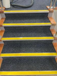 Professional carpet cleaning services