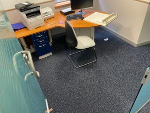 Professional carpet cleaning services