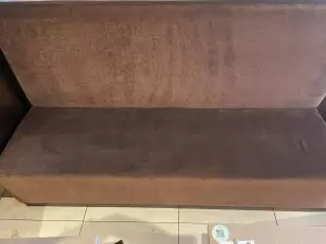 Professional upholstery cleaning services