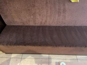 Professional upholstery cleaning services