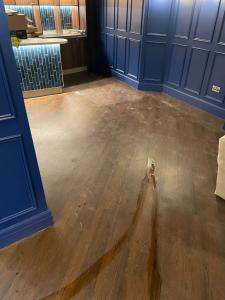 Professional interior fit-out cleaning project